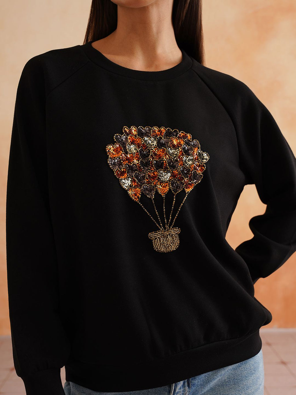 Full Sleeve Black Embroidered Light Winter Sweatshirts Beatnik